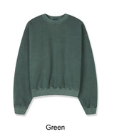 Piel Pigment Crop Sweatshirt