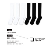 [6PACK] 1507 BASIC TROUSER KNEE SOCKS