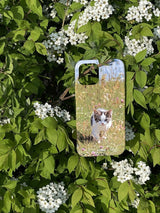[spring kitten hard case]