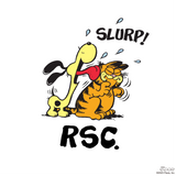 RSC×GARFIELD SLURP S/S Tシャツ
