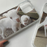[little baby lamb jelly hard case]
