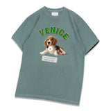 PWM-044 VENICE DOG