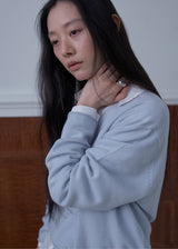 Milo V-neck Wool Knit (Baby Blue)