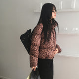 Dishell Leopard wellon short padded jumper