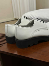 ASCLO Signature Derby Shoes (2color)