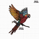 レインフォレストローズレッドデニムウォッシュドTシャツ  (Colorful Macaw)