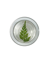 Grass Magsafe Smart Tok