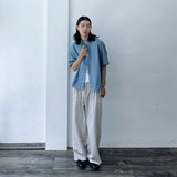 Mist Silver Pleated Pants