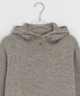 Colden High Neck Wool Knit Hoodie