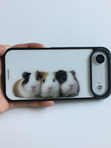 guineas pig case 