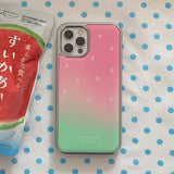 WATERMELON SILVER EPOXY CASE