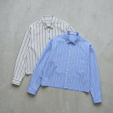 Boxy Cropped Striped Shirt