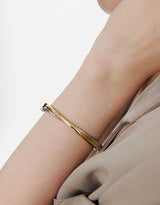 26SS★ [Premium Plating] Souvenir AB(C) Twist Bangle