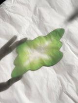 Tepid  Green Tea Acrylic Coaster