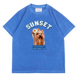 PWM-043 SUNSET DOG