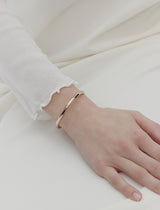 26SS★ [Premium Plating] Truvion AB Bangle