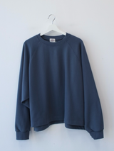 boxy raglan crop sweatshirt 