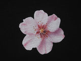 Seli Flower Point Tee