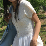 プリティウィンクルプリテッドナイロンショートスリーブロングドレス2 カラーズ