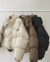 Hoodie Crop Padded