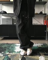 HD two-pin tuck striped pants (2C)