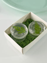 Grass Magsafe Smart Tok