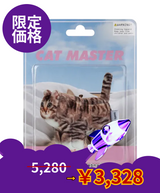 【limited price】Chovy, Domestic Shorthair 
