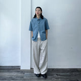 Mist Silver Pleated Pants