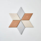Apple Leather Puzzle Coaster (Set of 2 pieces)