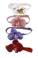 [春] - Phalaenopsis choker (4color)