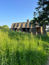 コールドウォッシュドカーゴパンツ (6 Colors)