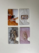 [snuggly buddies pink magsafe cardslot]