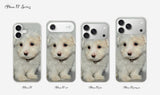 baby maltese case