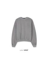 Pigment Crop Sweatshirt
