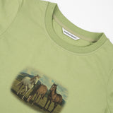 Horses Graphic Tee_Matcha