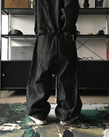 HD two-pin tuck striped pants (2C)