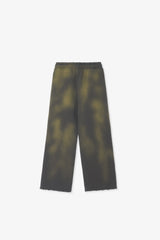 WASHED-OUT & DESTROYED PANTS