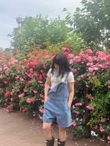 バーニーキッチクロプティ