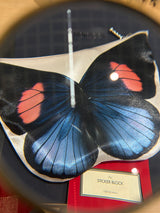 Butterfly Pouch