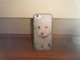 baby maltese case
