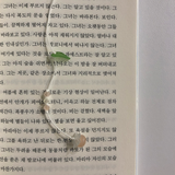 tomato garden strap bookmark