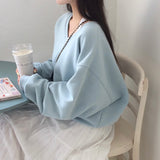 [MADE/6color] ポニー、Vネックのゆったりフィットトレーナー