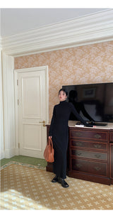 Half Turtleneck Black Flared Long Dress