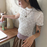 ラピット シースルーリボン ハーフタートルネック 半袖Tシャツ