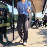 LMN Def Pintuck Wide One Tuck Bendable Slacks (6 colors) - CHARCOAL model pitting