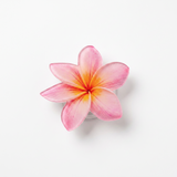 ALOHA Magsafe Acrylic Phone Grip Smart Tok / TREEFORFIVE345