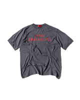 IWIWS GREY Tシャツ