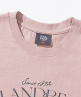アイランドベアTシャツ
