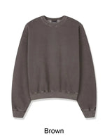 Piel Pigment Crop Sweatshirt