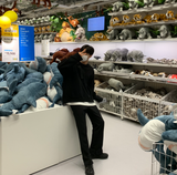 702 イアウディスラックス